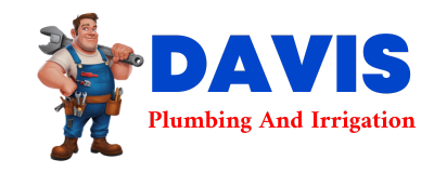 Trusted plumber in DAPHNE